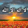 nogodbutallah91