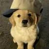 mnucian