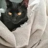 dyizjwvz1zwt