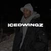 icedwingz