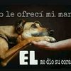 huesito_crujiente