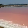 malienorou