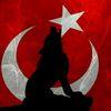 36bozkur