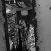 nikylan_shova245