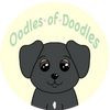 oodlesofdoodlesusa