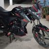 javiermireles951