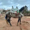 abdou.qad
