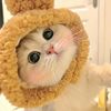kiwigweeen