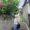 distyaulia3