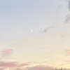 mikeneko0516