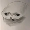 kittycat_7.0
