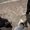 este_3389