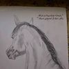 oumr_222