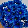 limaa0902