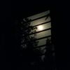 emran_sarker_71