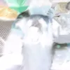 baconsmells