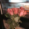 rylina._423