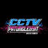 cctvpatungleuyitkarian2