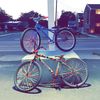 bike__life69