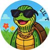 lil.turtlee