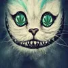 igorrr16