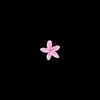 cherry.____.blossom