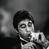 ermal.tx