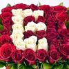 enes8816032172215
