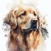 retrievergolden33