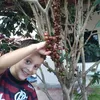 genilsonbarcelos51