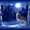 lonewolfblumoon