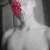 andy_1461