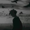 zoaaannnn_1808