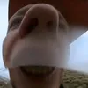 lolheadshotrblxplayer
