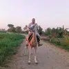 mohamedelshrif821