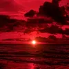 red_gang123