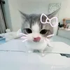 phuonganh_luu