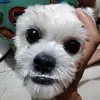 itsmeelocin1