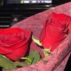 rosemaryablshi