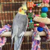 saphybird1