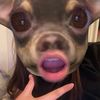 yami.afs0