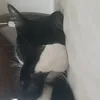 luckyshadow244