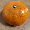 aintcute3nough