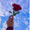ashrafgg0099