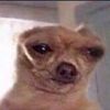 i.just.know.you.mad