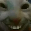 jsgndv
