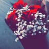 abid_a80