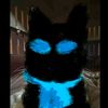 garbanzo_017