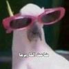 yasmine_amr_