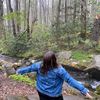 end_of_the_forest
